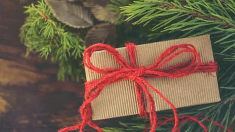 Aktion: terracamp-Adventskalender 2025